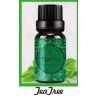 Fragrance Oil TeaTree