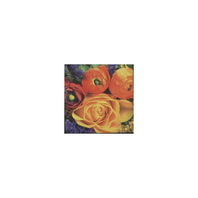 Serviette Réf.: 344055  ✅