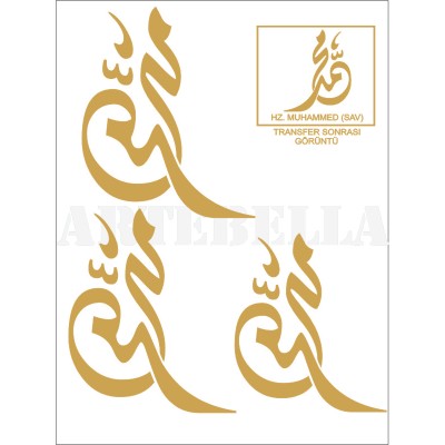 TRANSFERT PM REF: 2004