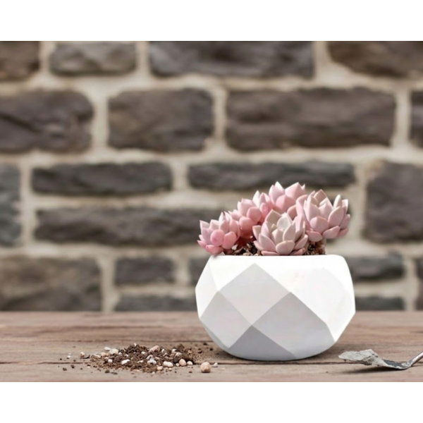 Mabkhra rond DIAMENT   Ref: Cnn-10