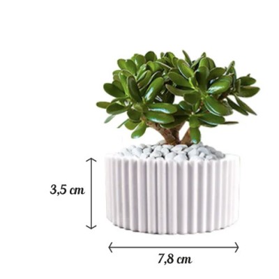 Port bougie rond rayure...