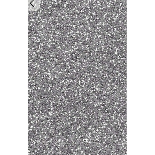 Sachet 25gm paillette argent