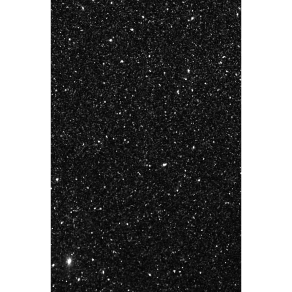 Sachet 500gm paillette  poudre  noir