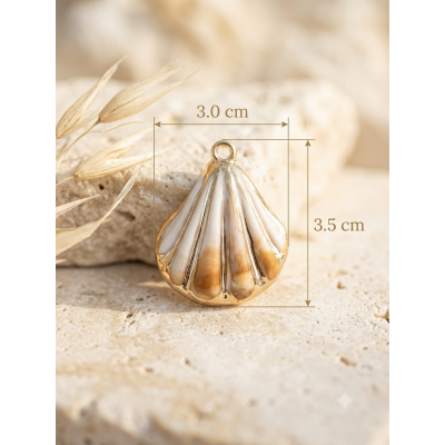 Coquillage