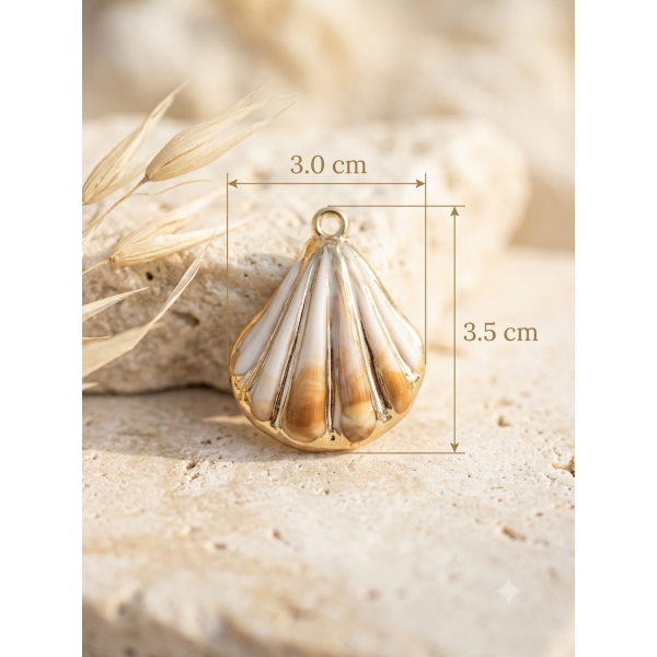 Coquillage