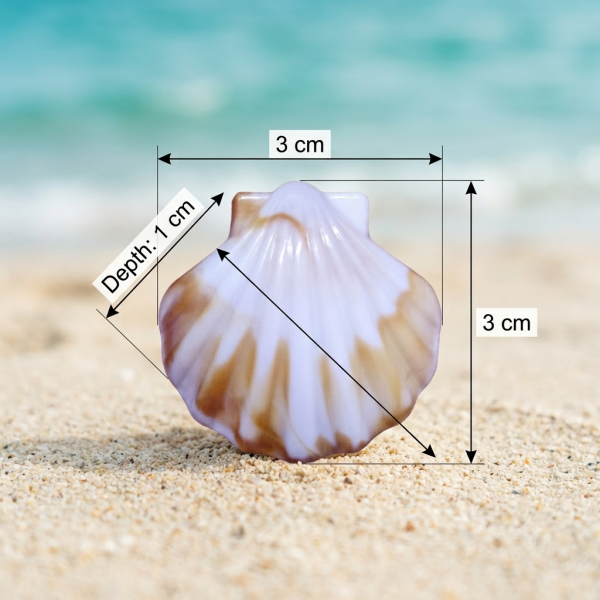 Coquillage