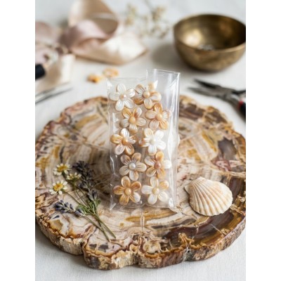 Coquillage