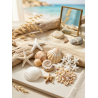 fetiche coquillage